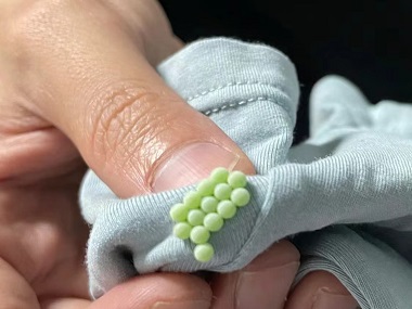 沙河杀虫灭鼠机构带您认识臭虫并防治臭虫