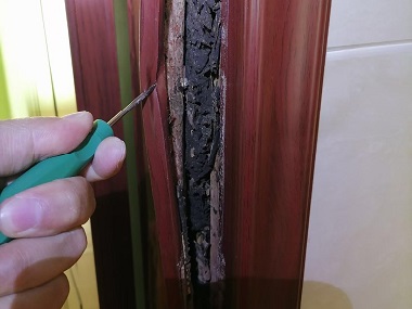 车陂白蚁备案中心卫生间易招白蚁的原因